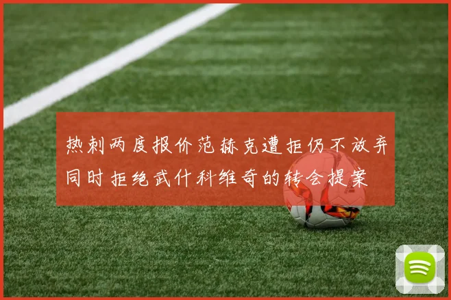热刺两度报价范赫克遭拒仍不放弃同时拒绝武什科维奇的转会提案